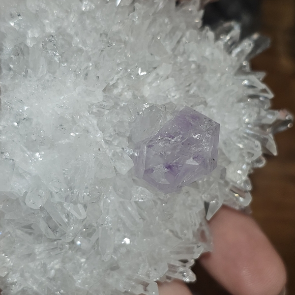 chrysanthemum amethyst cluster - Picture 9 of 9